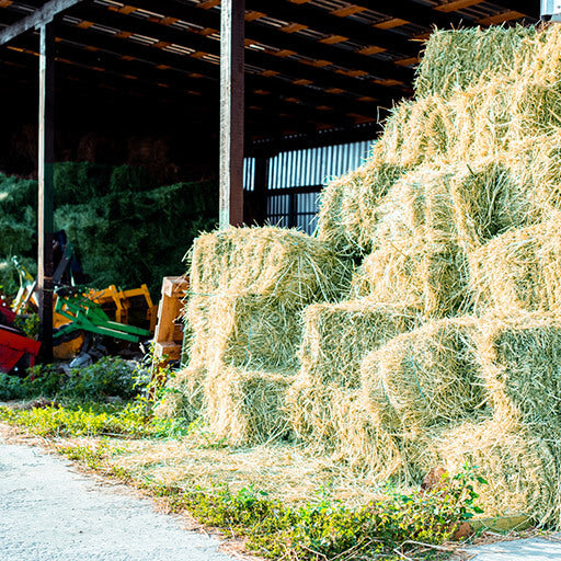 How Long Is Hay Good For?