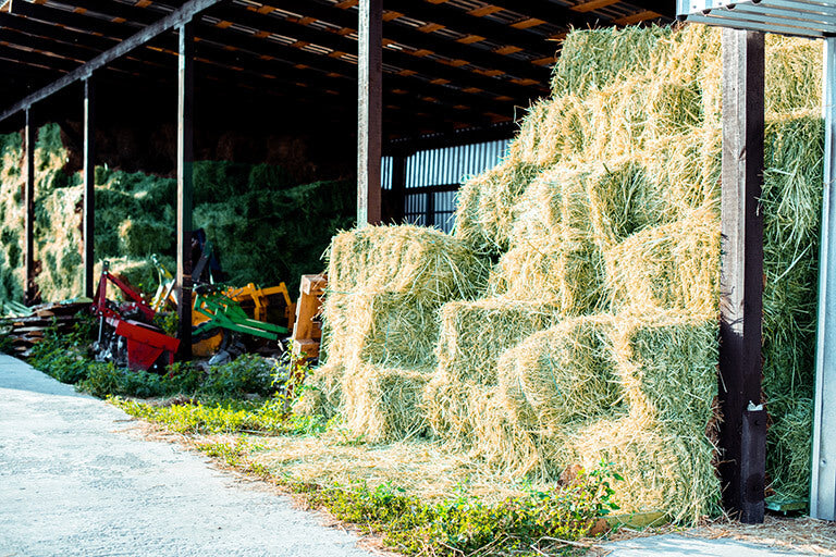 How Long Is Hay Good For?