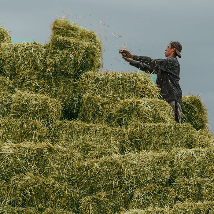 How Much Does a Bale of Hay Weigh?