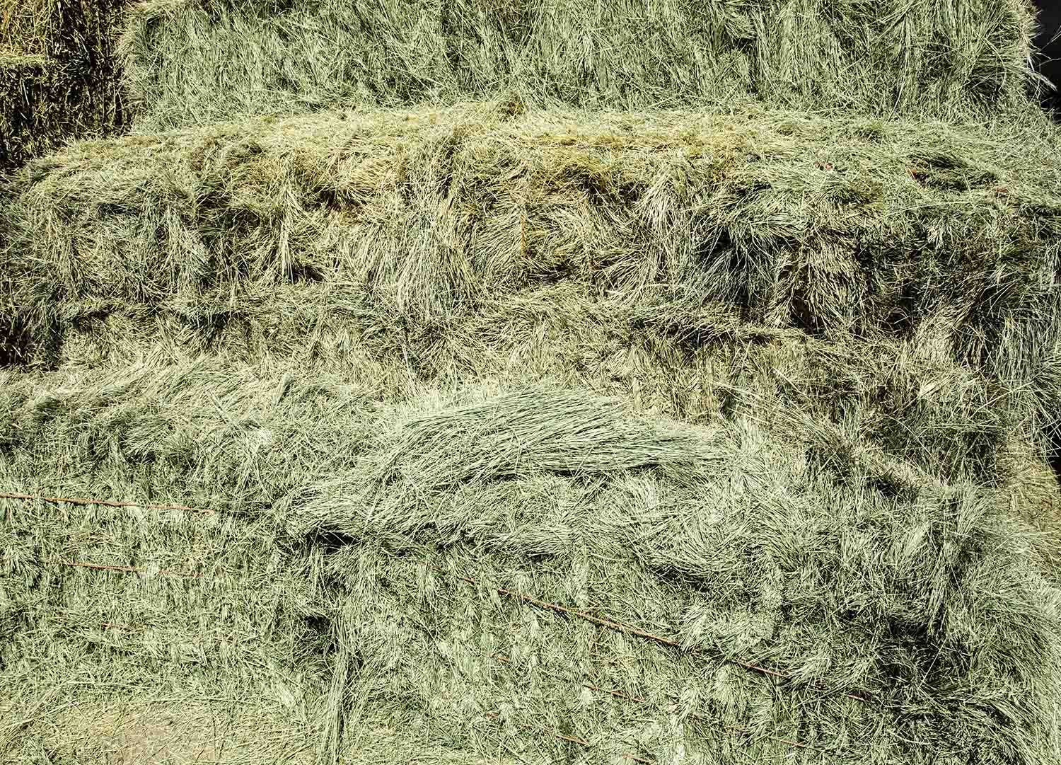Bermuda Grass Hay For Sale.