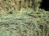 Bermuda Grass Hay For Sale.