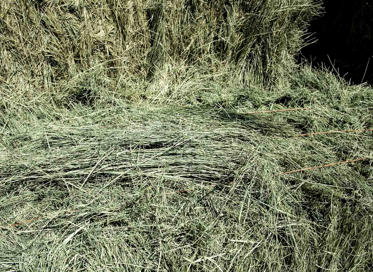 Bermuda Grass Hay For Sale.