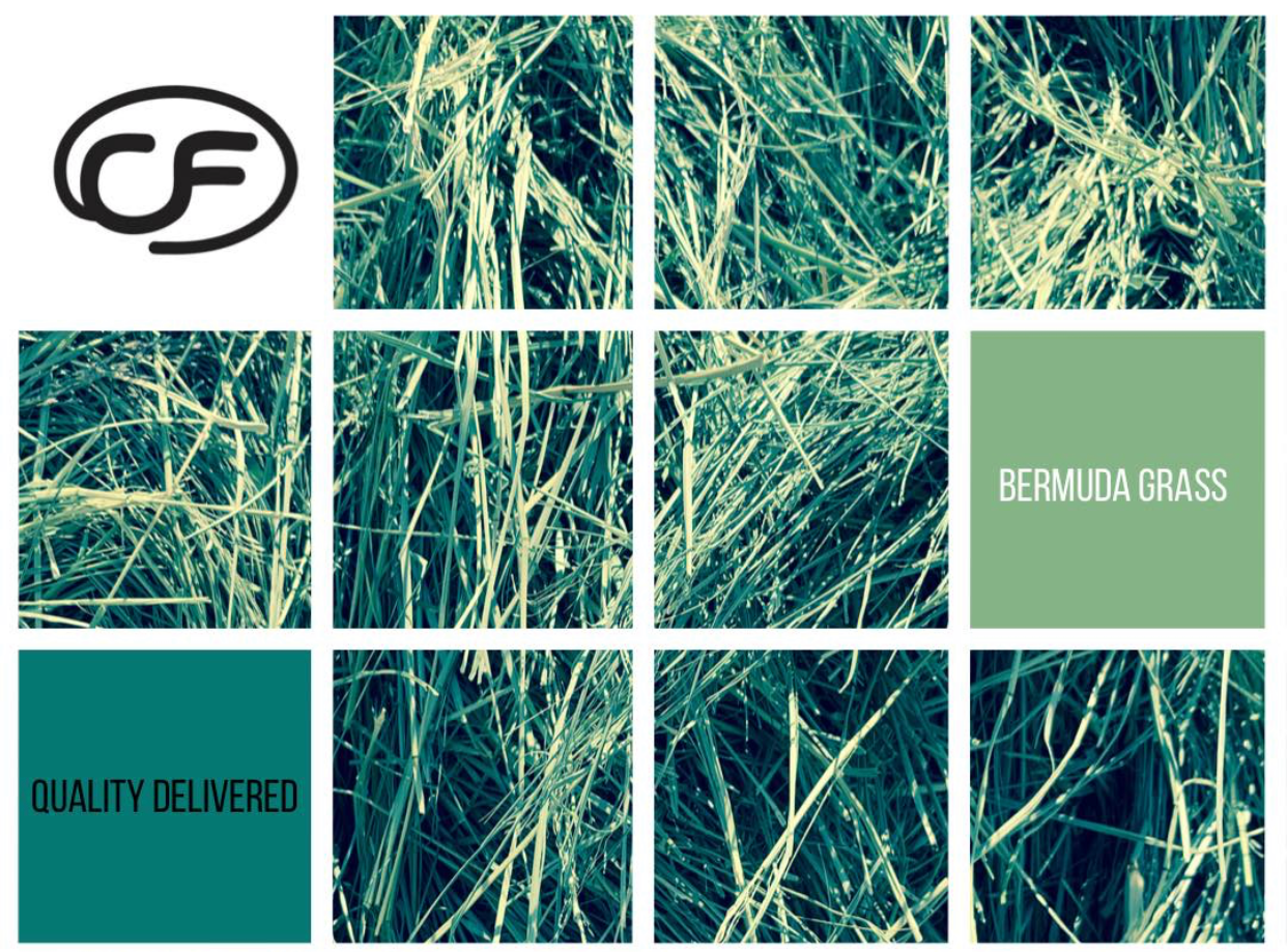 Bermuda Grass Hay For Sale.