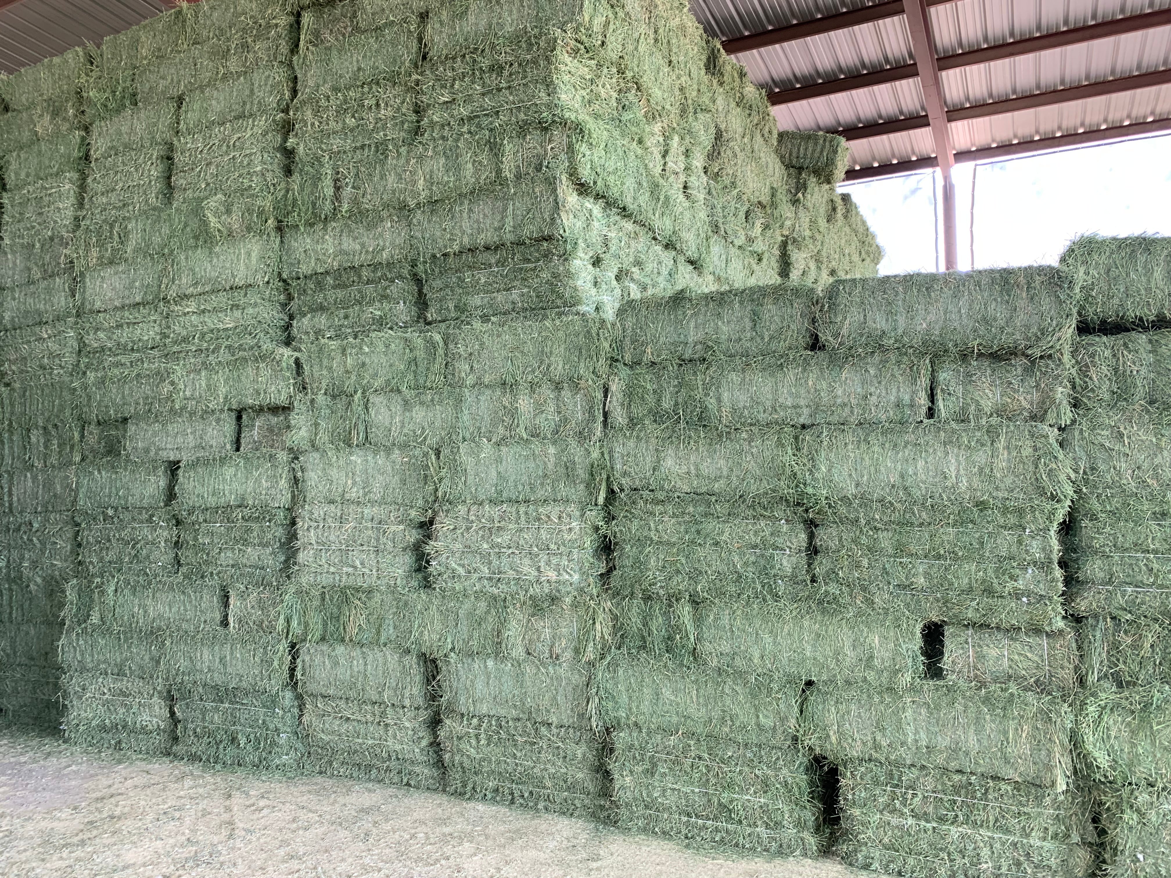 Premium Alfalfa Hay For Sale.