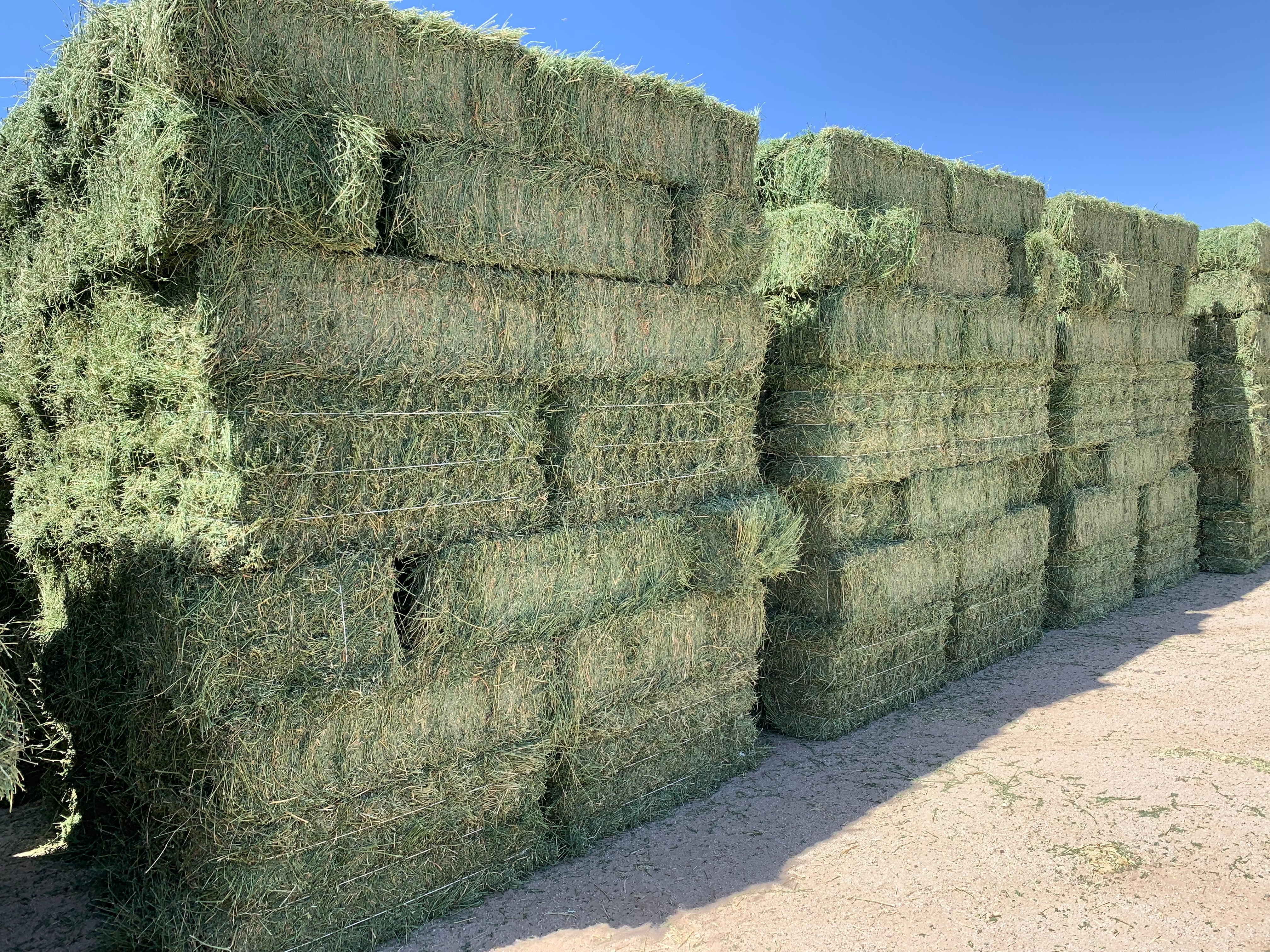 Premium Alfalfa Hay For Sale.
