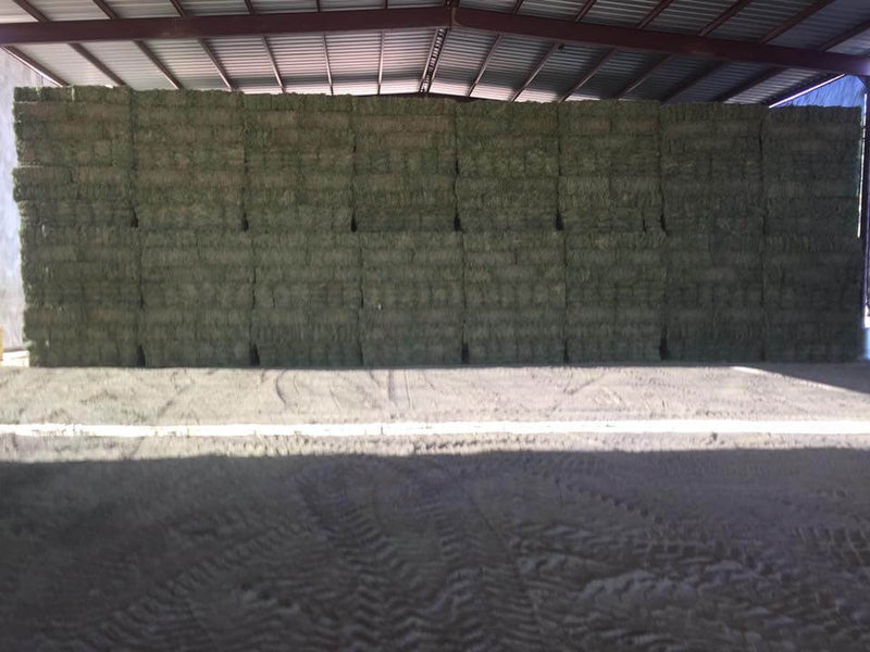 How Much Does a Bale of Hay Cost? — Conway Feed & Supply