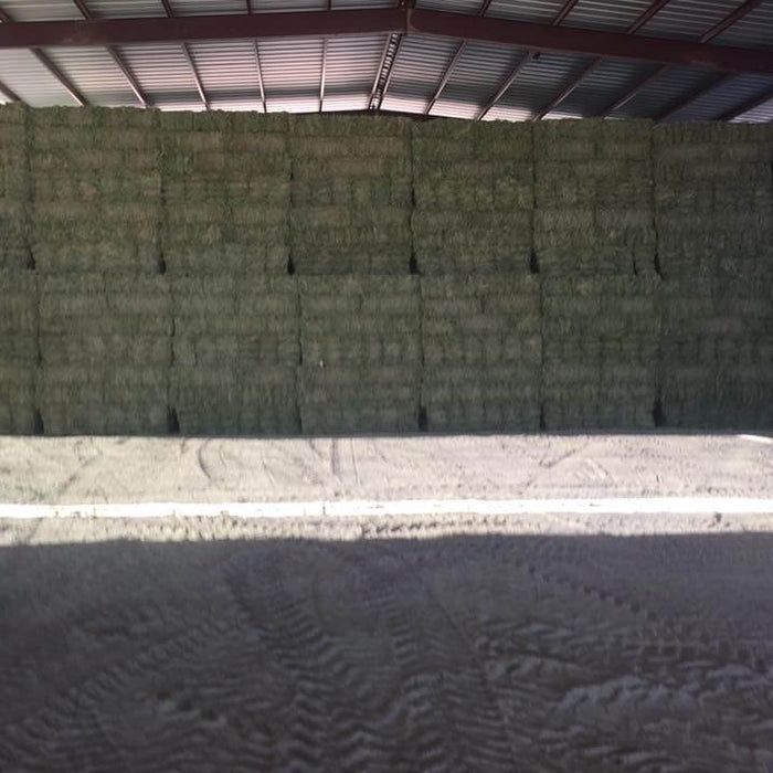 How Much Does a Bale of Hay Cost?
