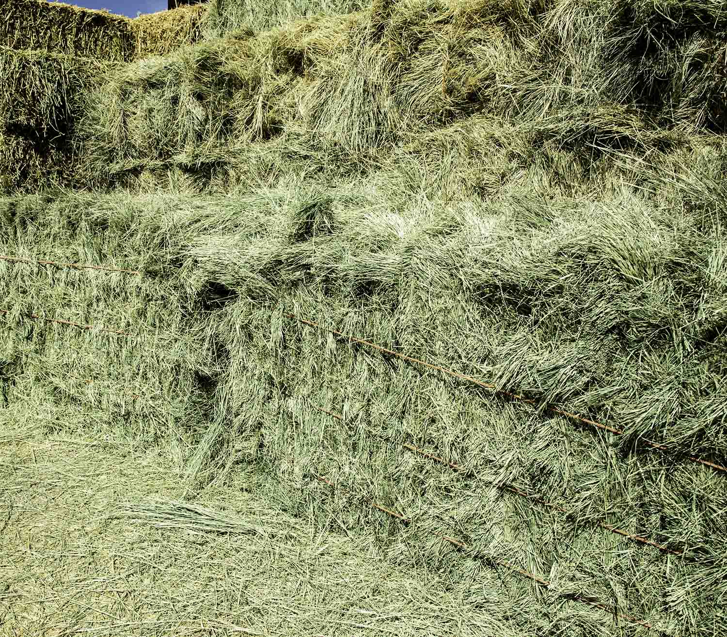 Bermuda Grass Hay For Sale.