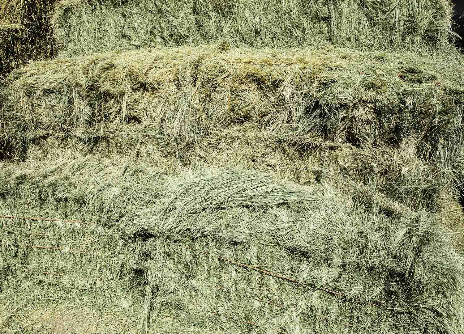 Bermuda Grass Hay For Sale — Conway Feed & Supply