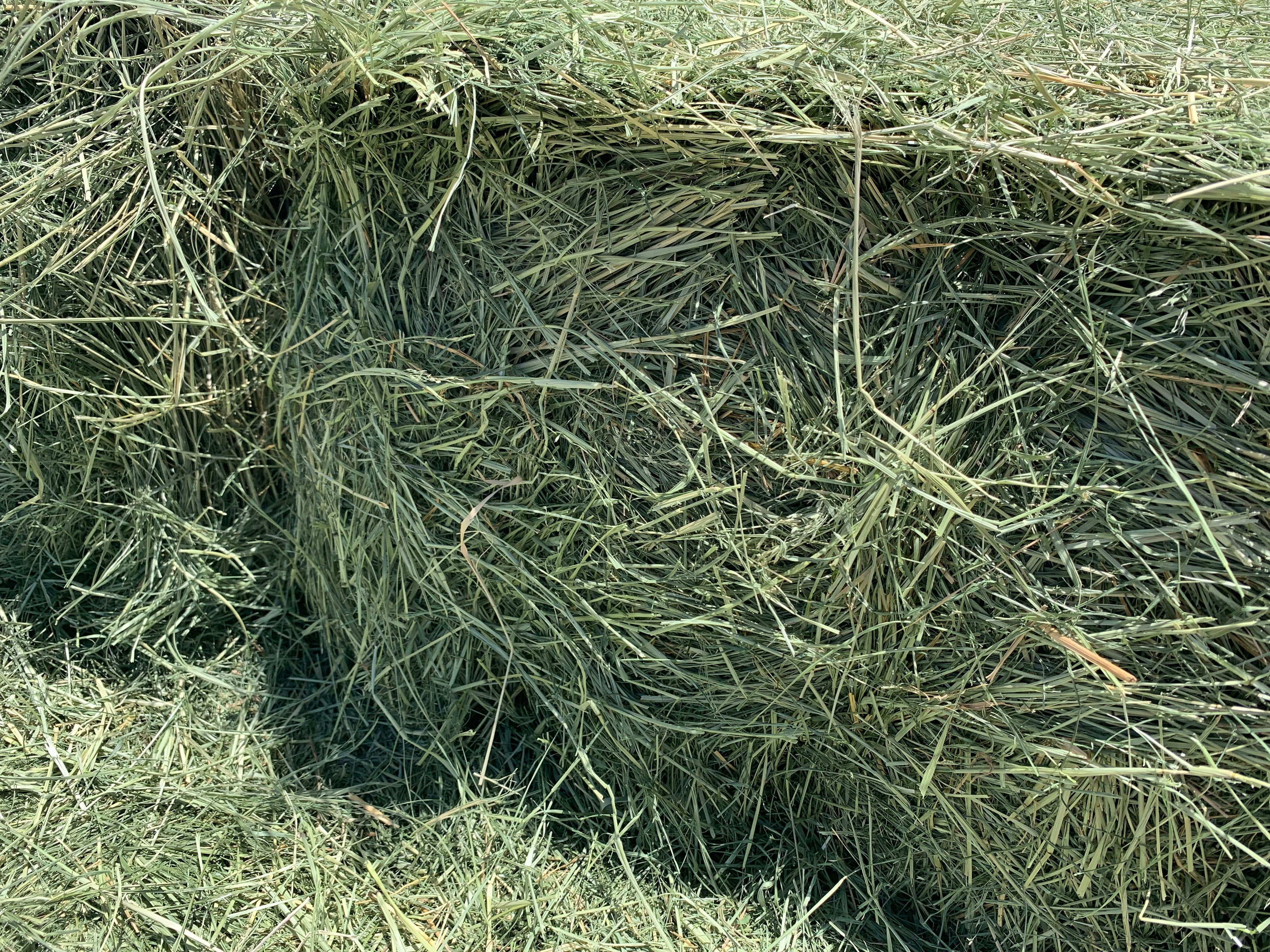 Baled Grass Hay for Sale - 8kg