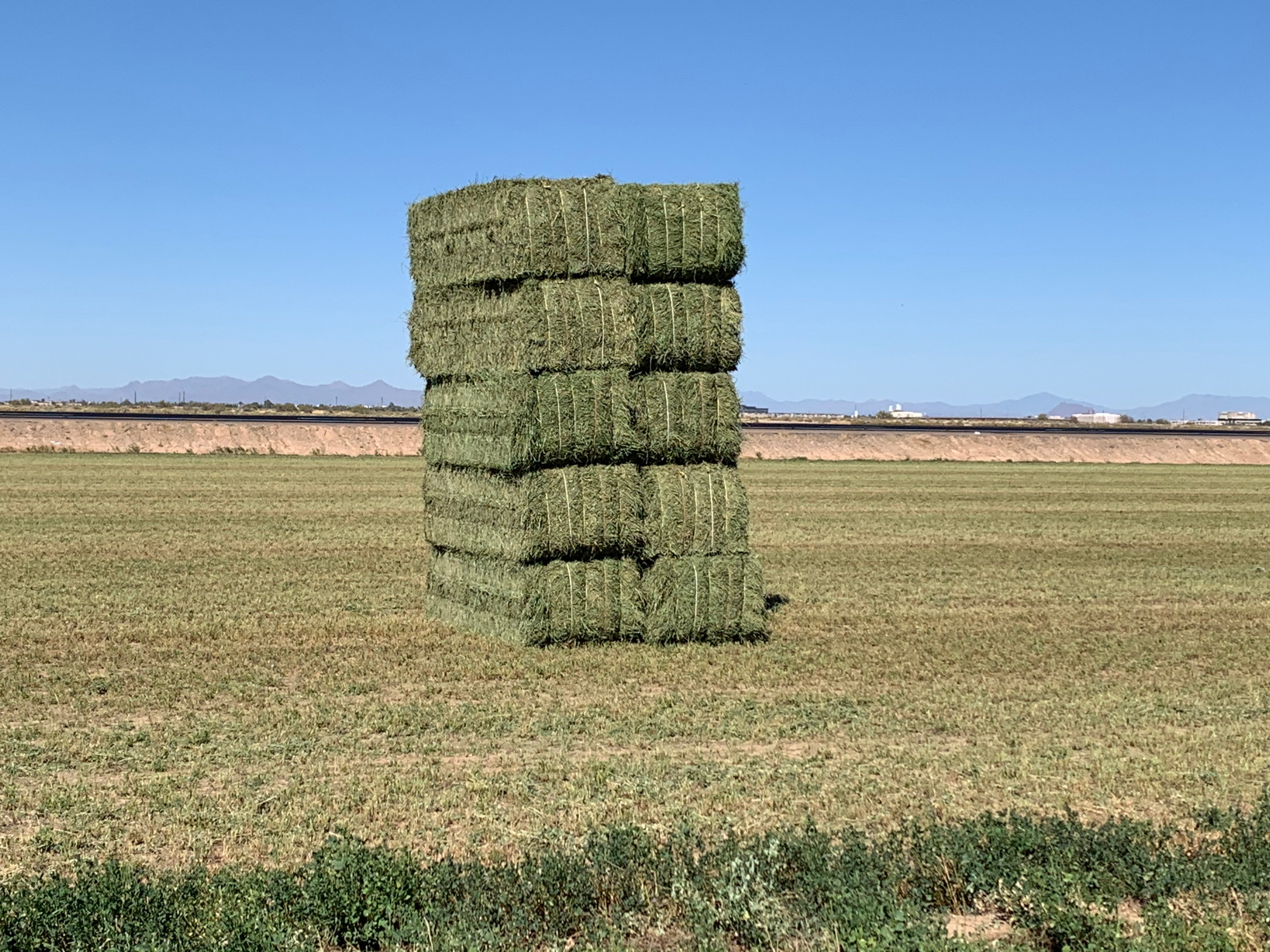 Premium Alfalfa Hay For Sale 3x4x8.