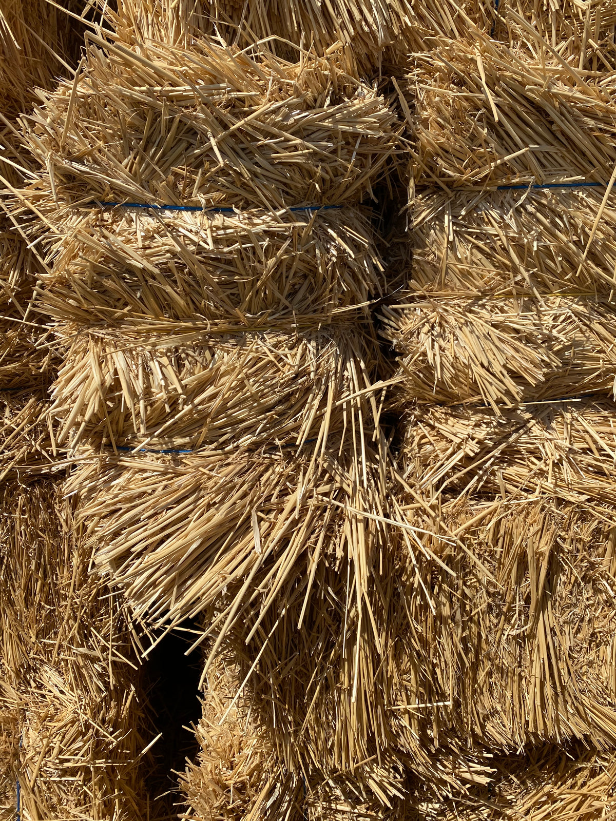 Arizona Straw 3 String — Conway Feed & Supply
